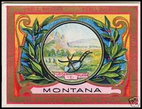 83 Montana